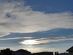  230